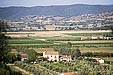 farm holidays in Alberese