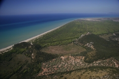 foto-g-anselmi-copyrightvista-aerea-torri-e-pineta-2