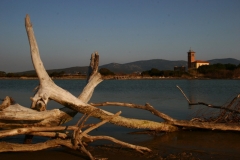 foto-g-anselmi-foce-ombrone