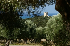 foto-g-anselmi-torre-collelungo