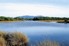 laghetti-principina-parco-235