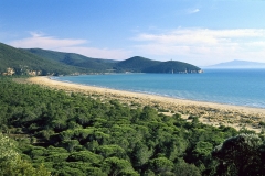 parco-mare-spiaggia-cala-forno-pineta
