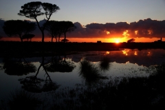 prm-alberese-palude-s-paolo-img_8913