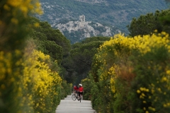 prm-alberese-turisti-su-itinerario-a7-dsc_6216