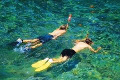 snorkeling