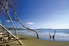 spaiggia-alberese-copy