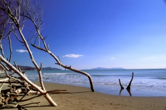 spiaggia-parco-mare-inverno