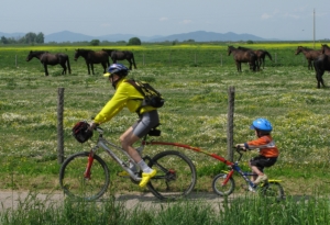 bici1 bici1