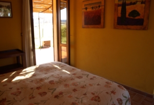 OLYMPUS DIGITAL CAMERA OLYMPUS DIGITAL CAMERA