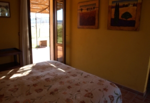 OLYMPUS DIGITAL CAMERA OLYMPUS DIGITAL CAMERA