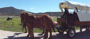 carrozza2 carrozza2