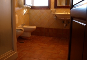 OLYMPUS DIGITAL CAMERA OLYMPUS DIGITAL CAMERA