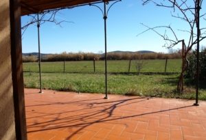 OLYMPUS DIGITAL CAMERA OLYMPUS DIGITAL CAMERA