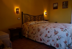 OLYMPUS DIGITAL CAMERA OLYMPUS DIGITAL CAMERA