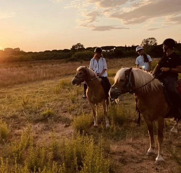 Lo sapeci che con il nostro P-Ranch della pulledraia puoi fare escursioni a cavallo, e se non sei capace puoi imparare ad andare a cavallo