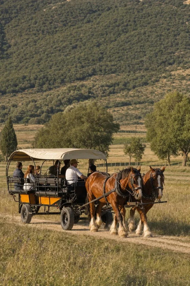 Visite guidate in Maremma Toscana a pochi minuti dal nostro Agriturismo