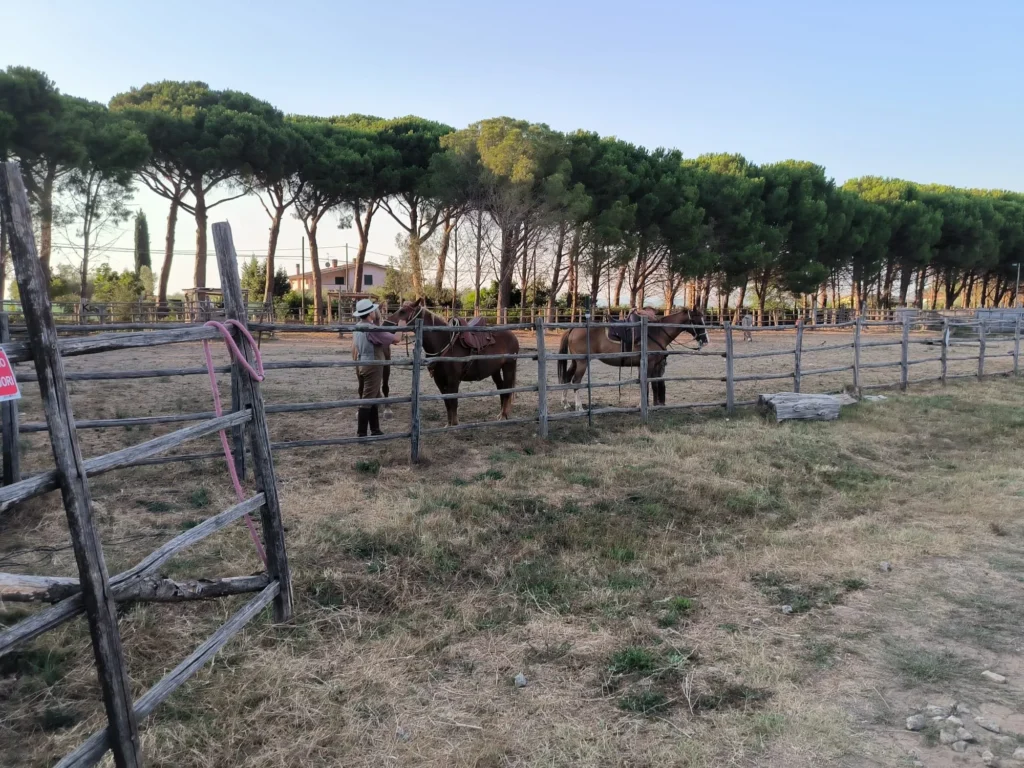 Agriturismo pulledraia Butteri che montano cavalli nel parco della maremma