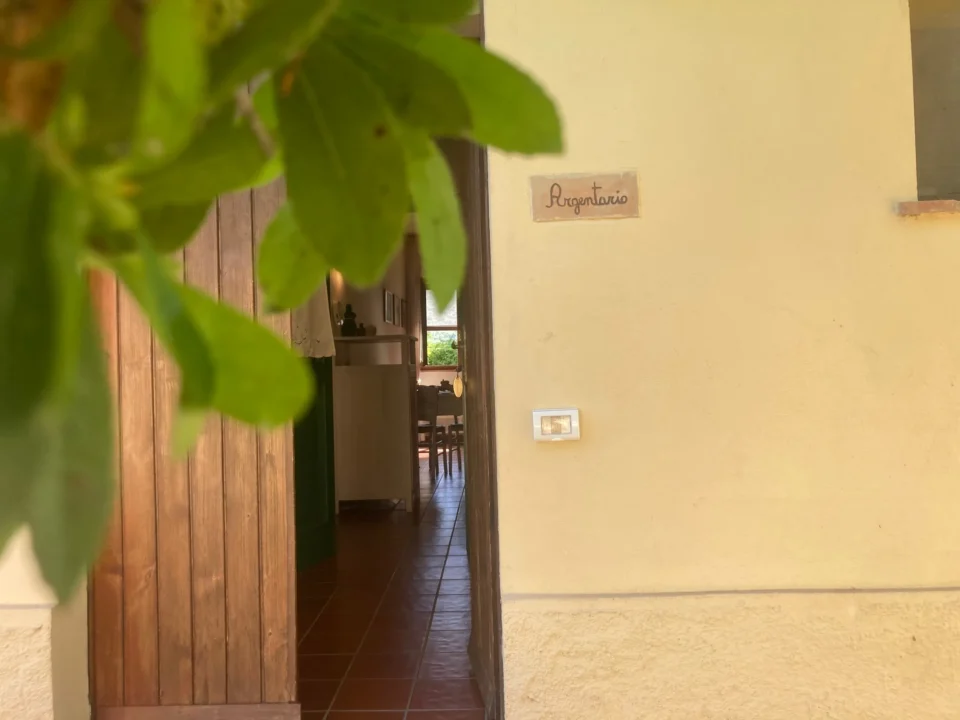 Camera argentario - Ingresso