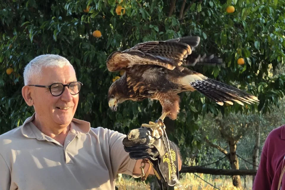 Pulledraia uccelli falconeria toscana