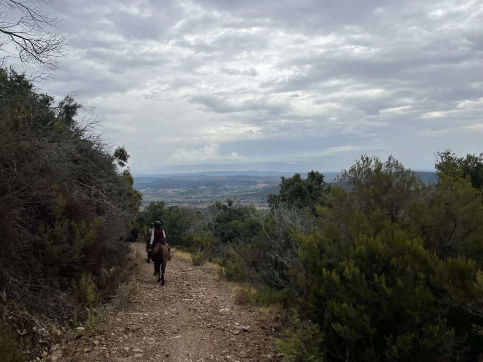 Cavaliere su un sentiero di macchia con vista sulla pianura della Maremma